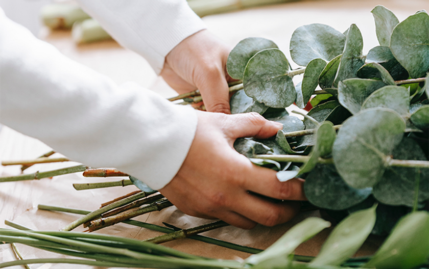10 Powerful Skincare Ingredients and How They Work