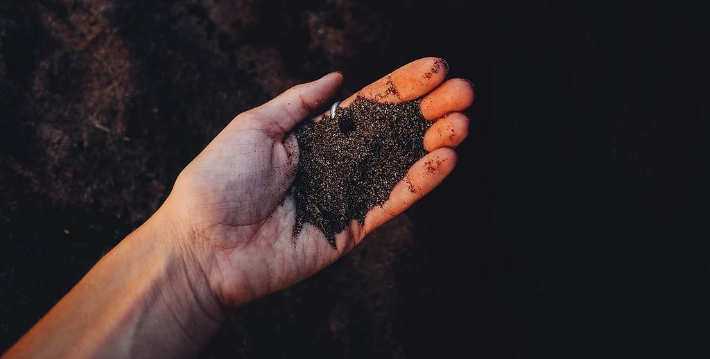 The Power of Fulvic Acid