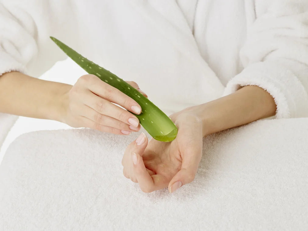 UNDERSTANDING THE BENEFITS OF ALOE VERA IN SKINCARE